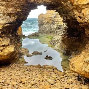 Meet your Posher, Terri